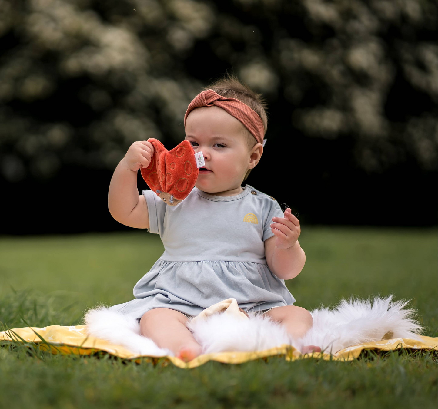 Ladybug Organic Fabric with Crinkle
