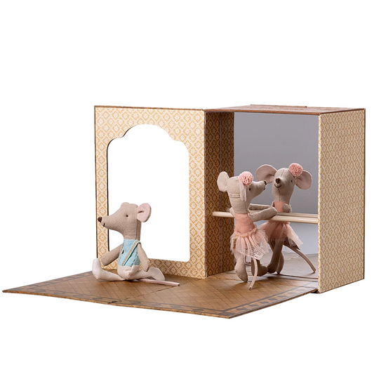 Ballet Mice In Dance Studio | Little Sister & Brother