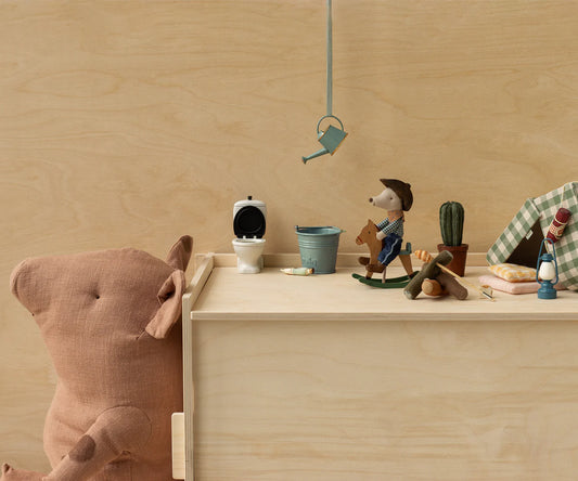 Little Brother Cowboy Mouse on Rocking Horse