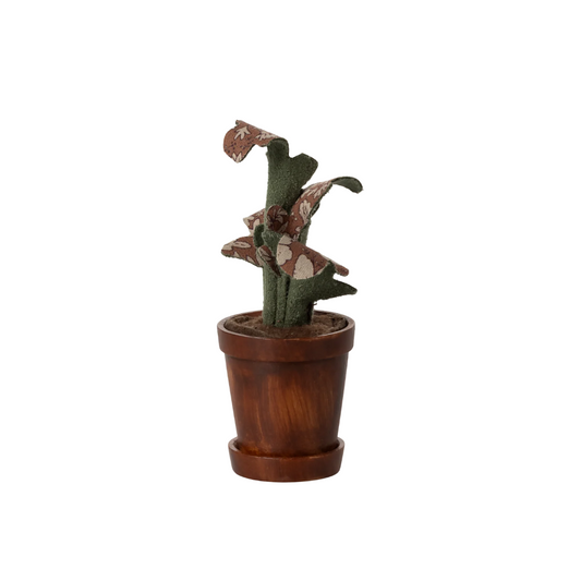Flower Pot With Plant