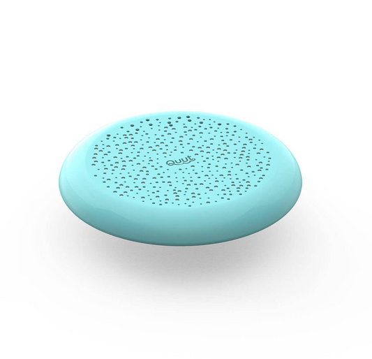 Flying Disc & Sand Sifter