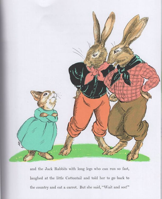 The Country Bunny And The Little Gold Shoes Book