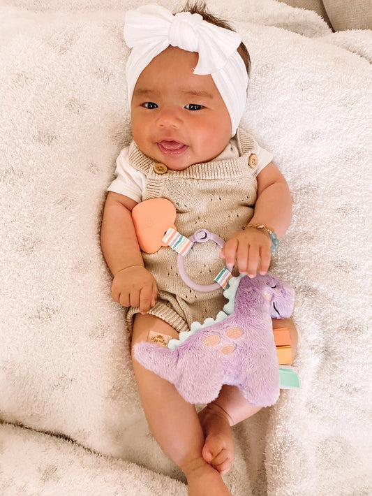 Lilac Dino Plush + Teether