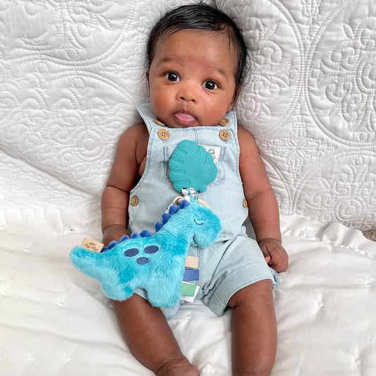 Blue Dino Plush + Teether