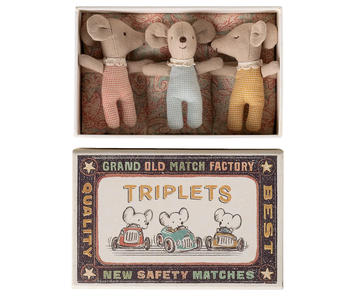 Triplets Baby Mice In Matchbox