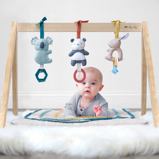 Wooden Baby Activity Gym + Toys