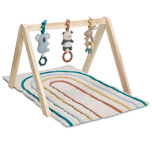 Wooden Baby Activity Gym + Toys