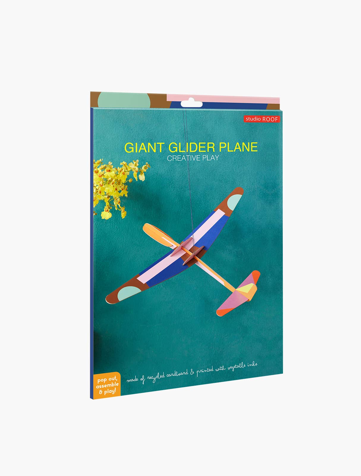 Giant Glider Plane