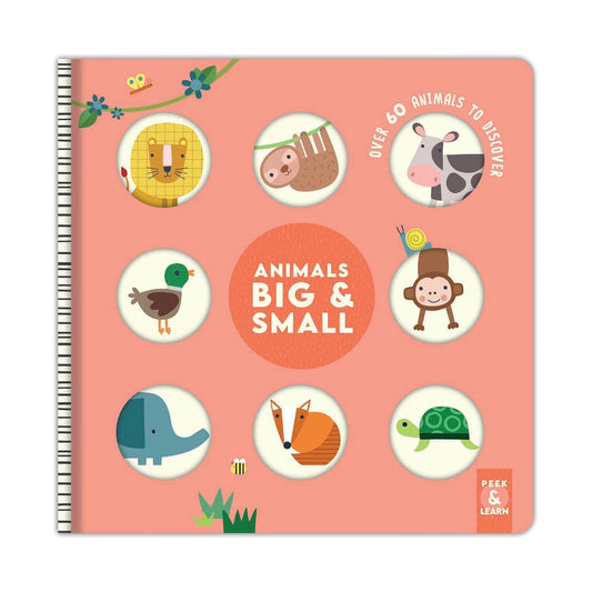 Animals Big & Small | Board Book