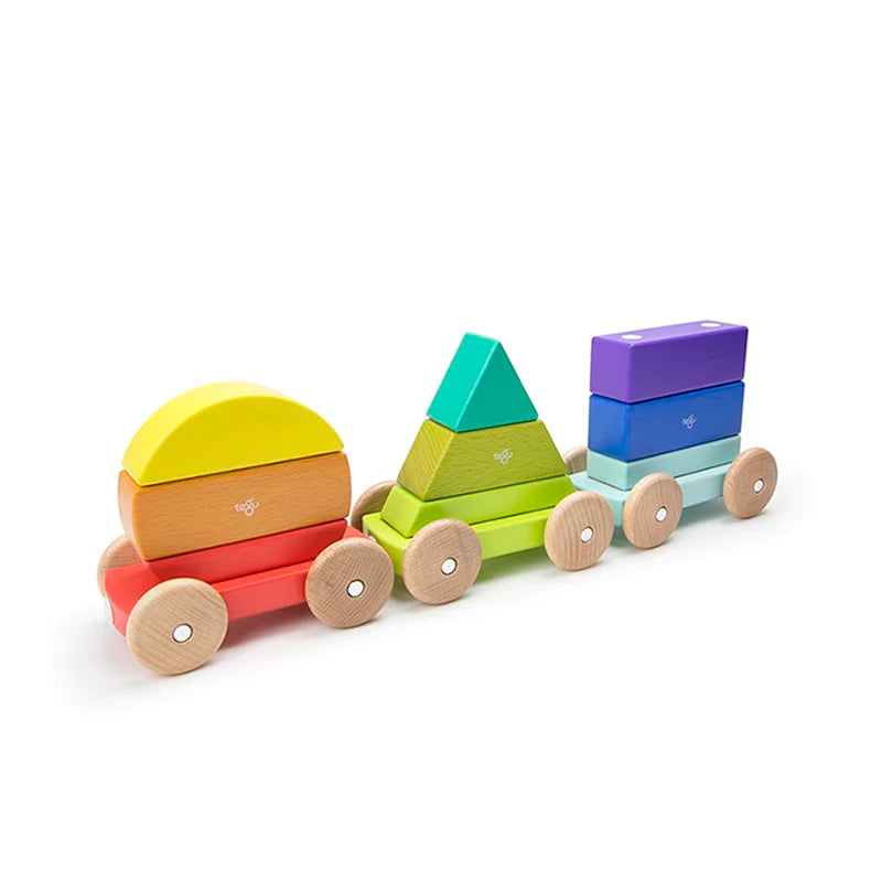 Magnetic Shape Train