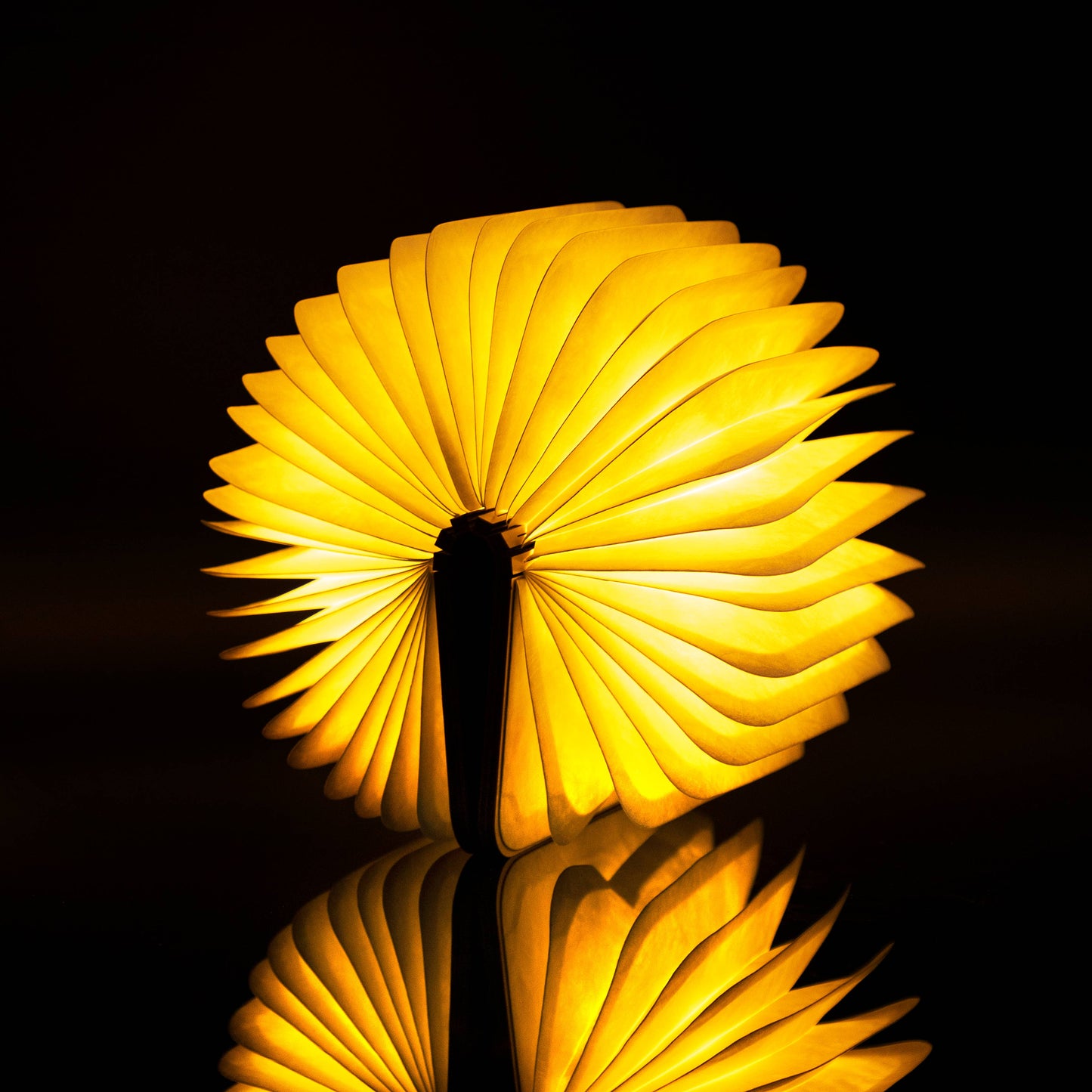 Smart Book Light | Walnut