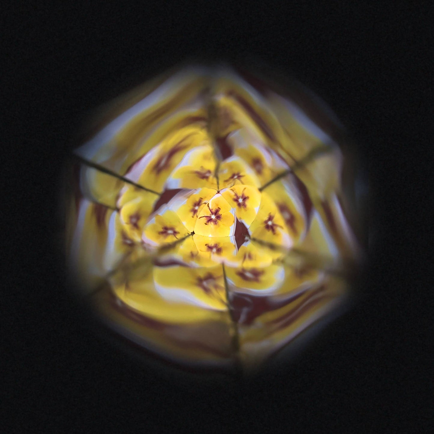 Flower Kaleidoscope