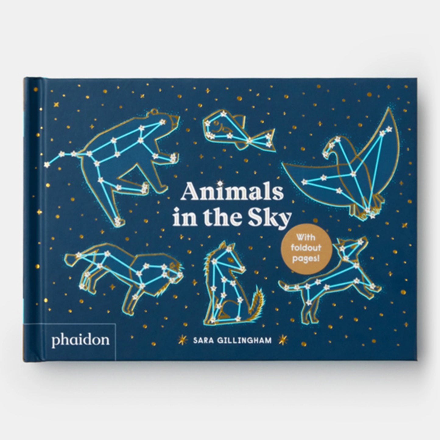 Animals In The Sky Book
