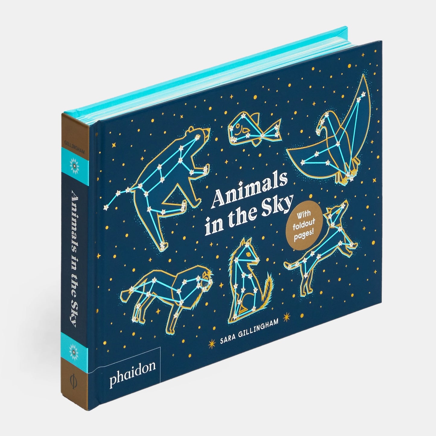 Animals In The Sky Book