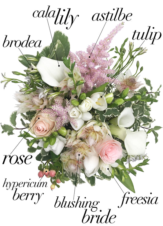 Stem & Bloom Flowers Guidebook