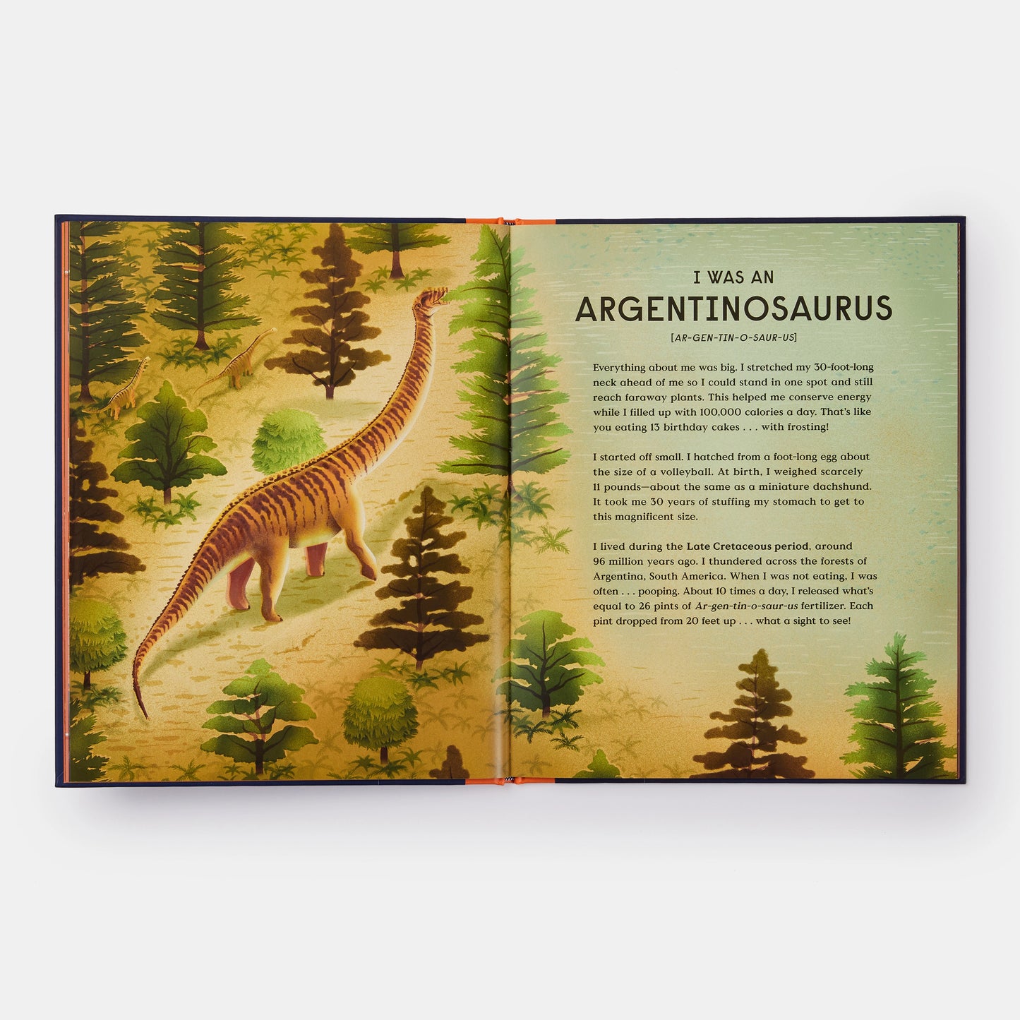 Book of Dinosaurs