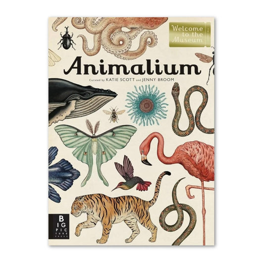 Animalium Book
