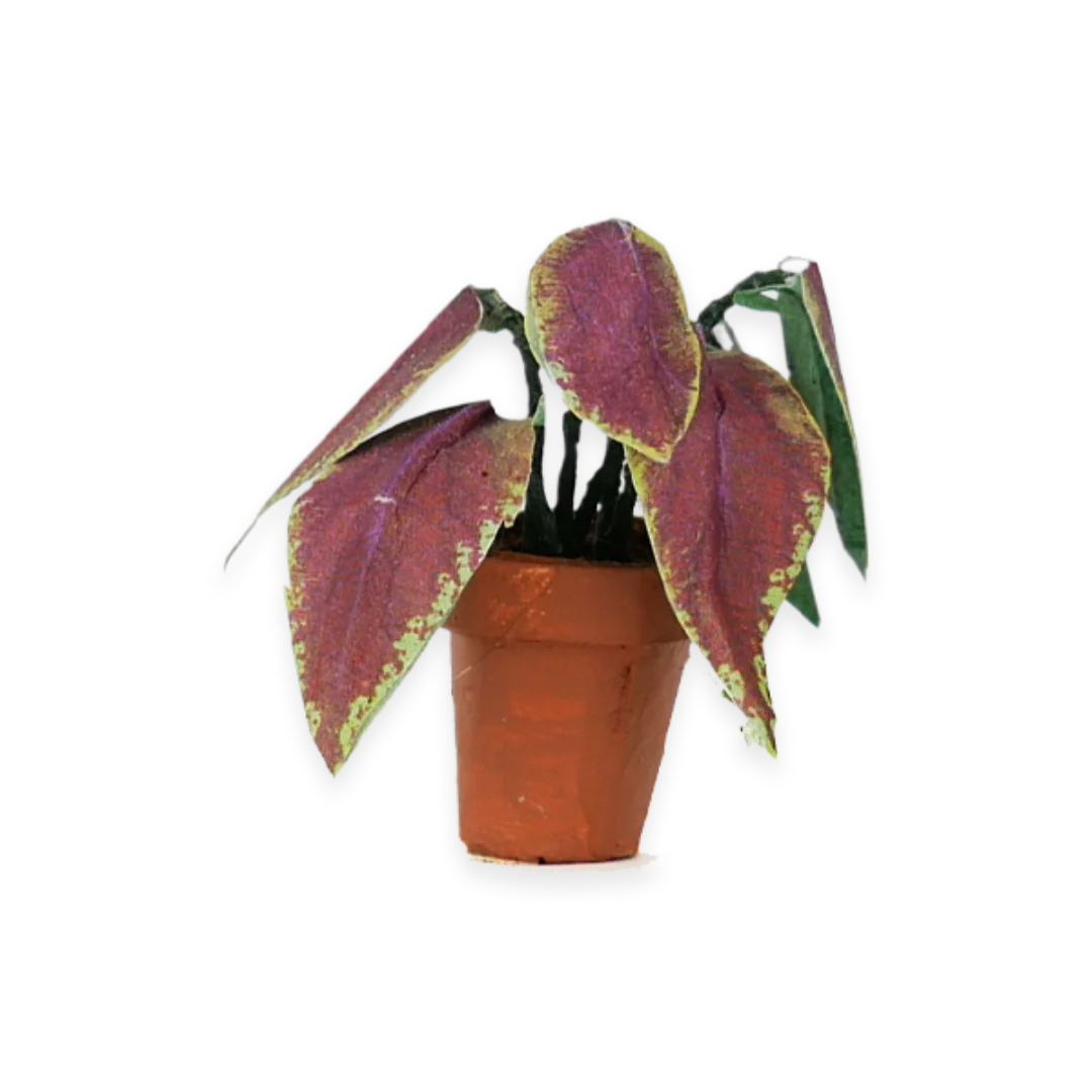 Mouse Mansion Die Cuts