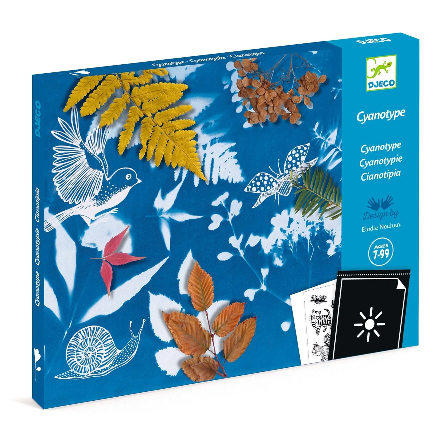Cyanotype Starter Craft Kit