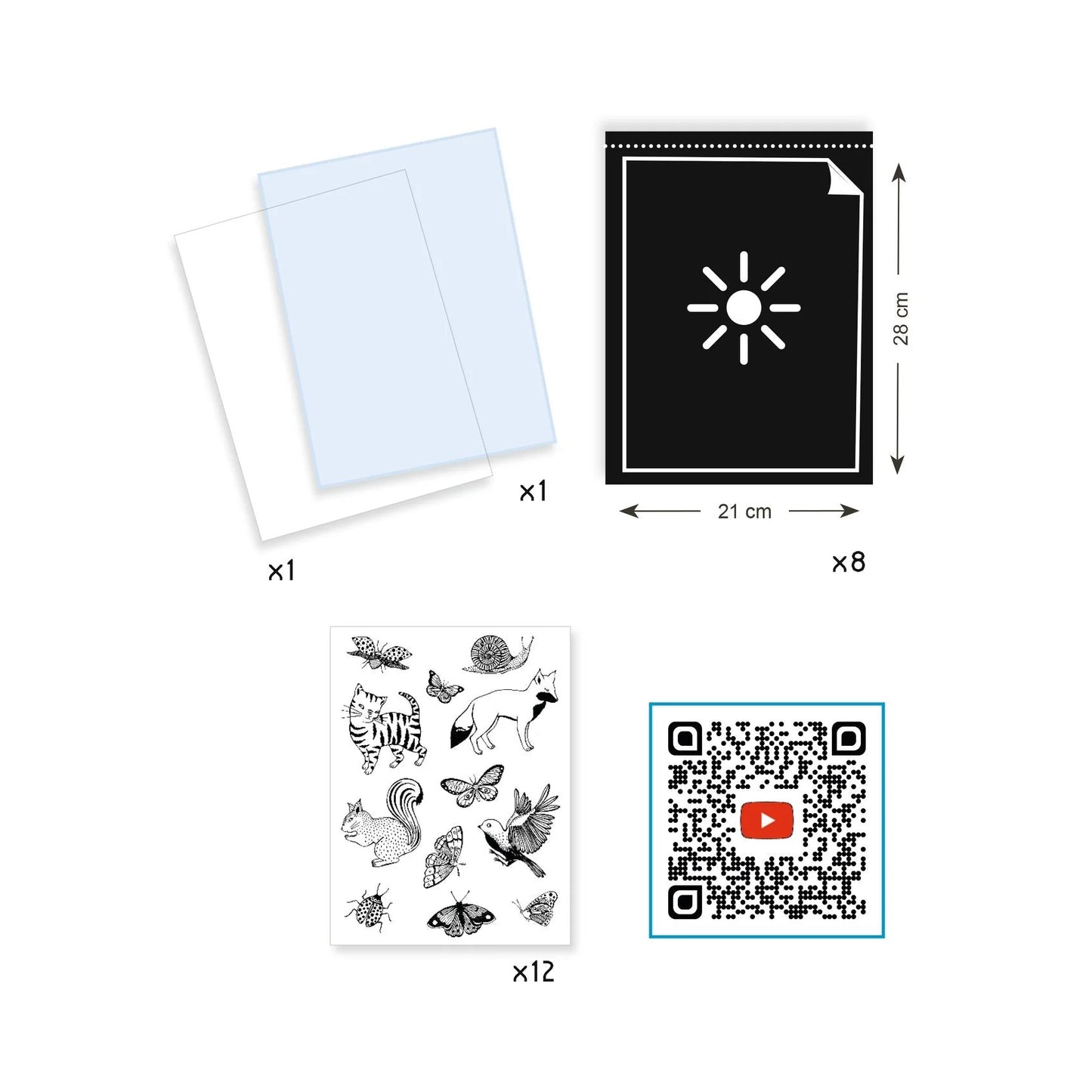 Cyanotype Starter Craft Kit