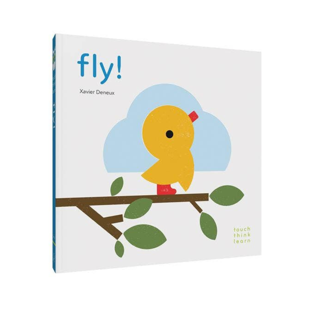 TouchThinkLearn: Fly!