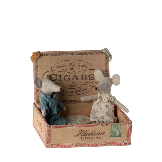 Mum and Dad Mice In Cigar Box