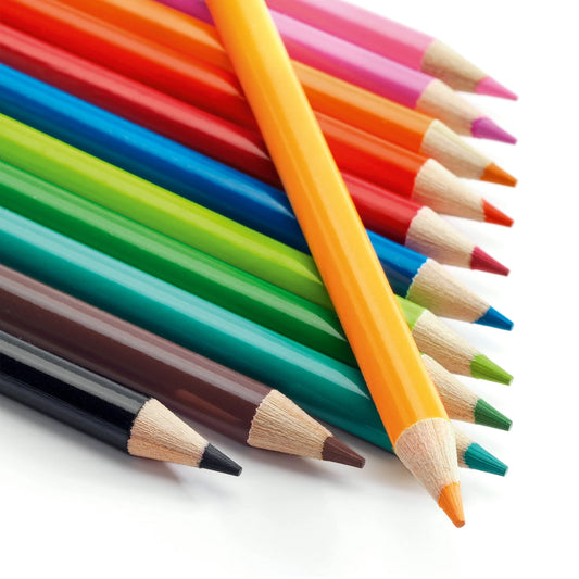 Watercolor Pencils | Set of 12
