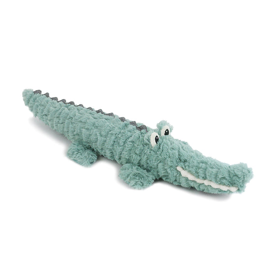 Armand Alligator