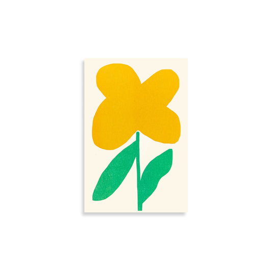 Oxalis Notepad