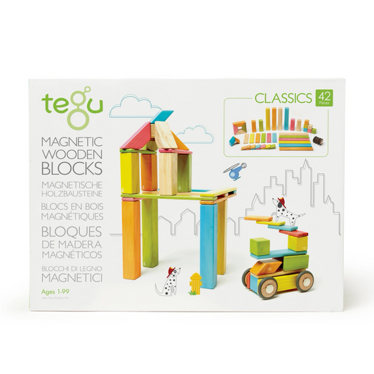 42 Piece Magnetic Wooden Block Set