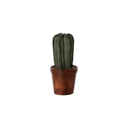 Flower Pot With Cactus