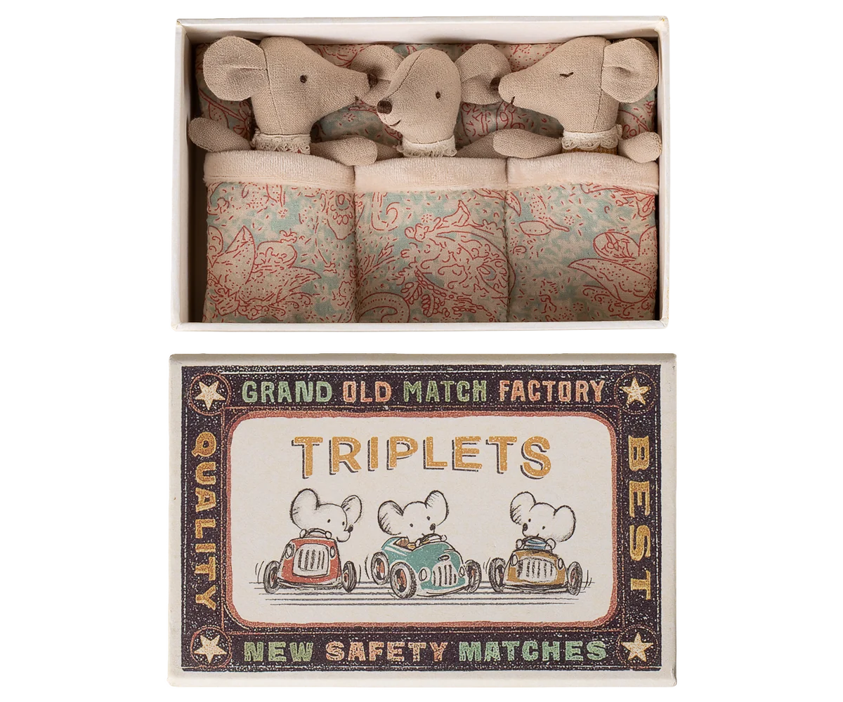 Triplets Baby Mice In Matchbox