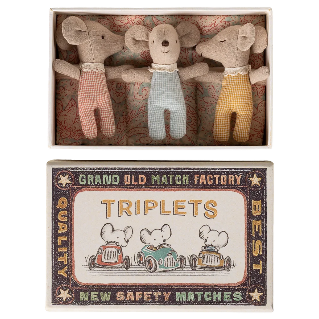 Triplets Baby Mice In Matchbox