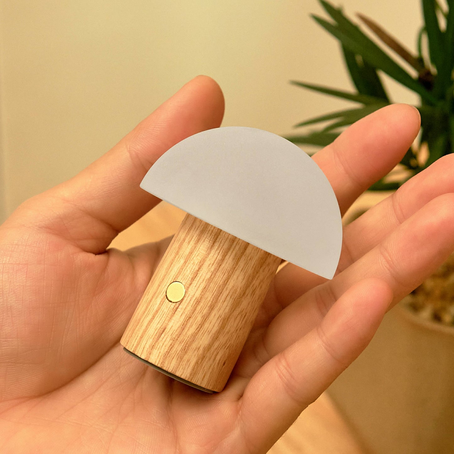 Alice Mushroom Lamp | Super Mini