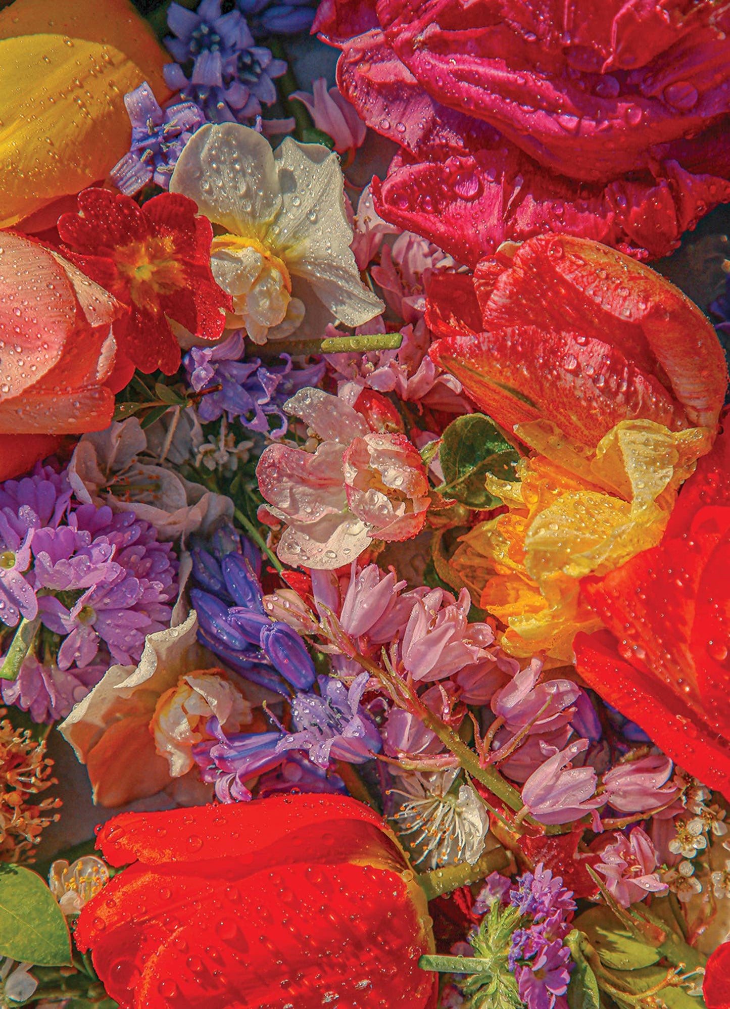 Blossom | 1000 Piece Puzzle