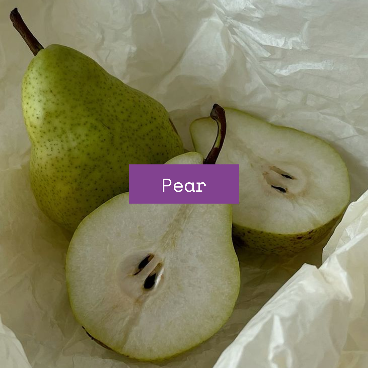 Bud | Lilac & Pear