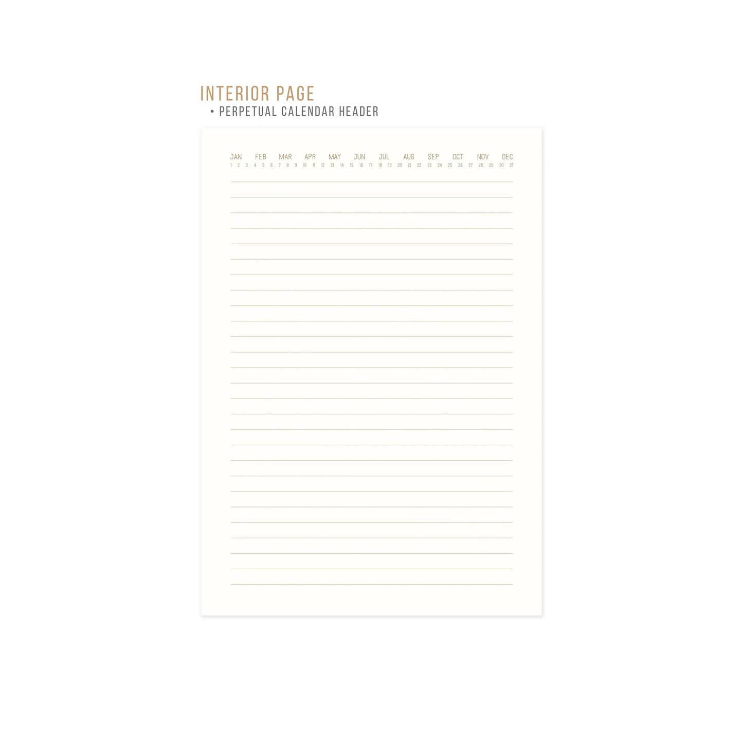 Hard Cover Suede Cloth Journal | Radiant Rays