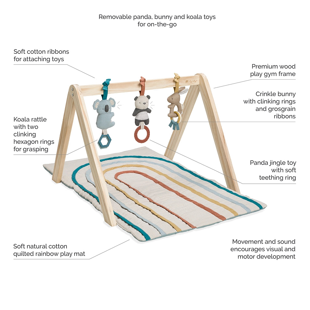 Wooden Baby Activity Gym + Toys