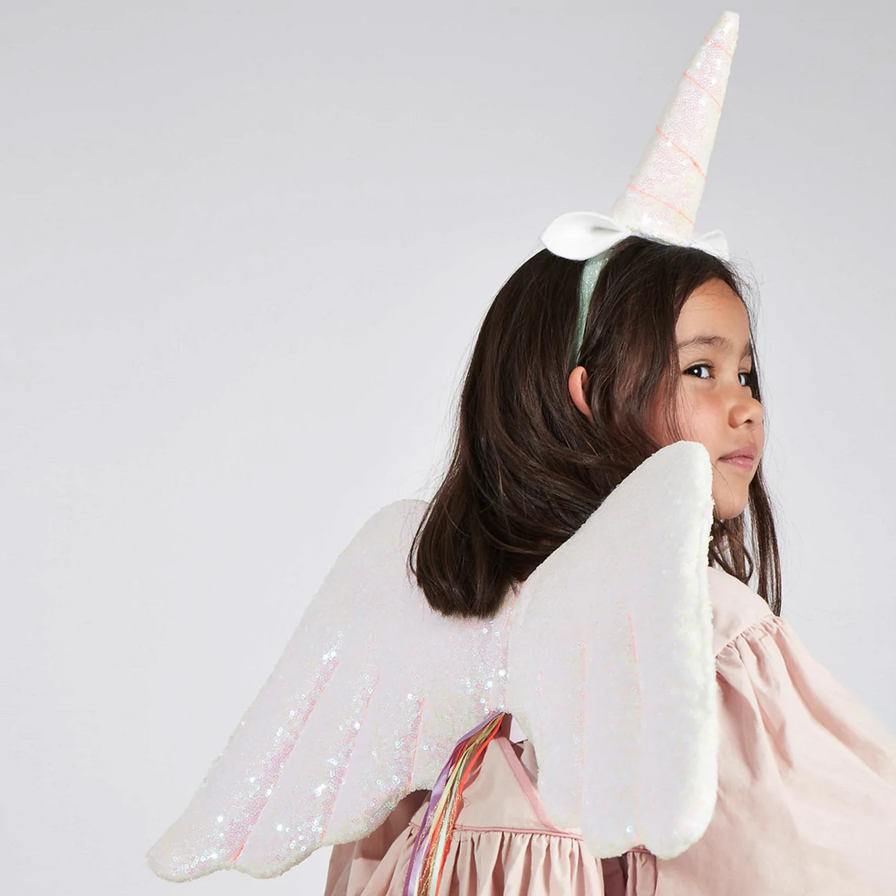 Winged Unicorn Costume